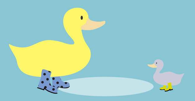 Duck wearing wellies